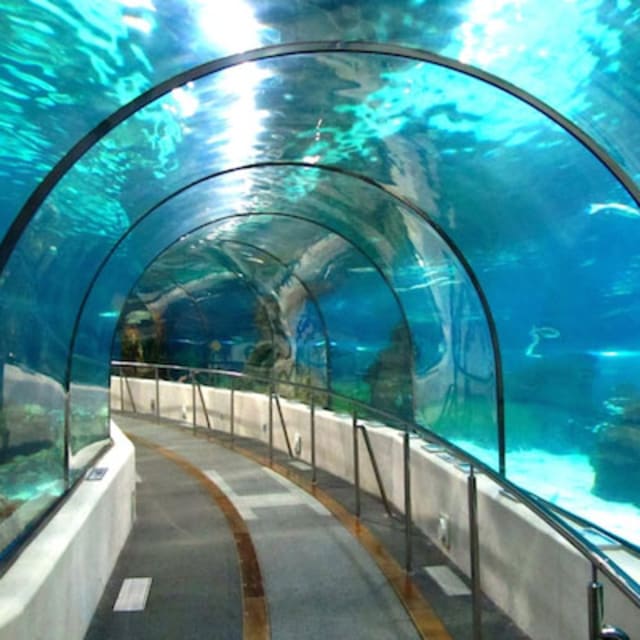 China Might Build an Undersea Tunnel Connecting Siberia to Alaska Complex