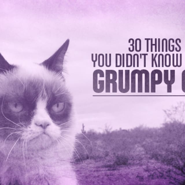 Grumpy Cat's real name is Tardar Sauce. 30 Things You Didn't Know