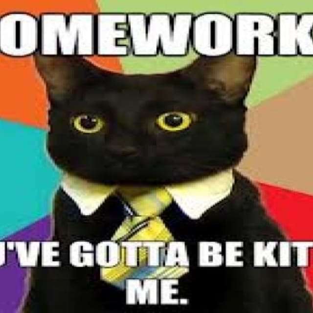 Go do your homework song image