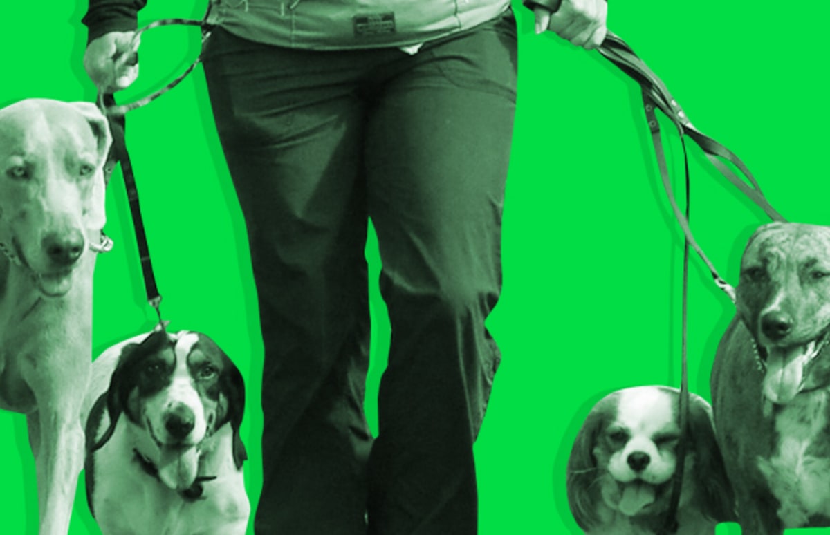 The Best Day Jobs for Aspiring Artists and Other Creative Types Complex