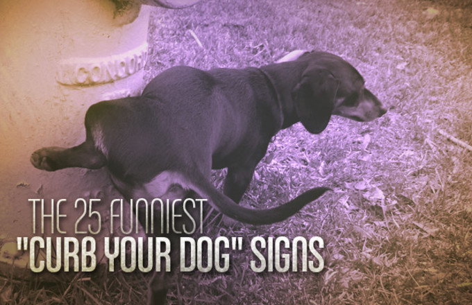 The 25 Funniest "Curb Your Dog" Signs | Complex