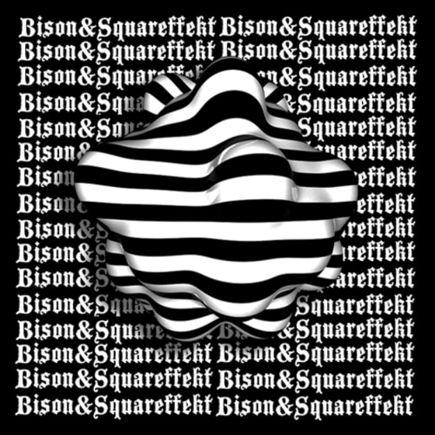 bison-squareffekt