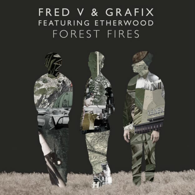 forest-fires-cover