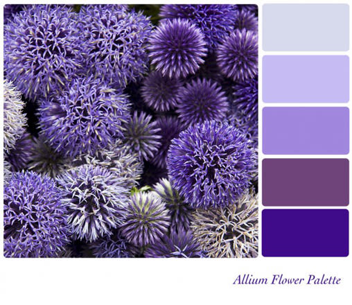 Monochromatic Colors Are Really Just A Variety Of One Color. - Color ...