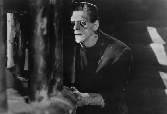 frankenstein a cultural history pdf