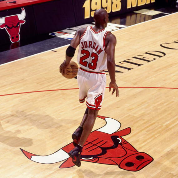 michael jordan 14