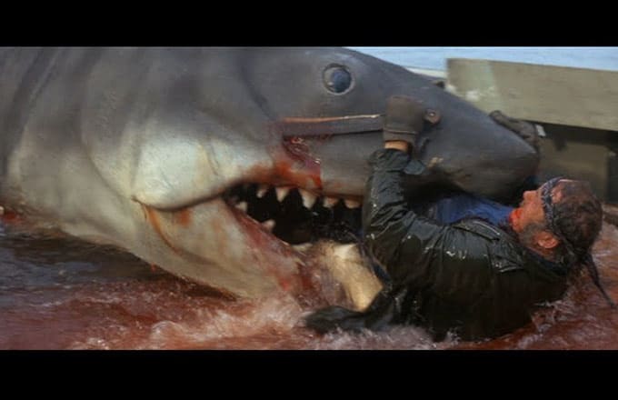 jaws biting quint