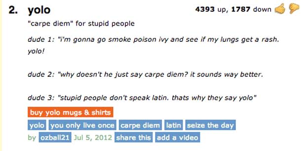 Yolo The 40 Funniest Entries On Urbandictionary Com