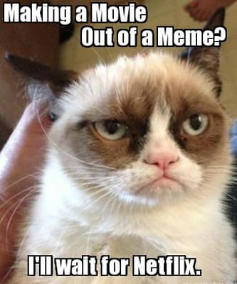 11. Netflix - The 40 Funniest Grumpy Cat Movie Memes | Complex