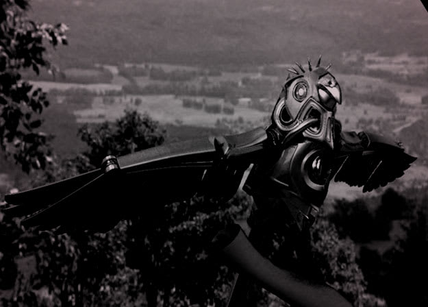 EDM-robot-bird2