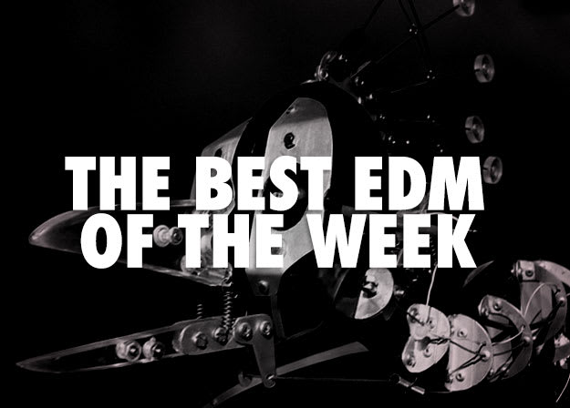 EDM-robotbird2