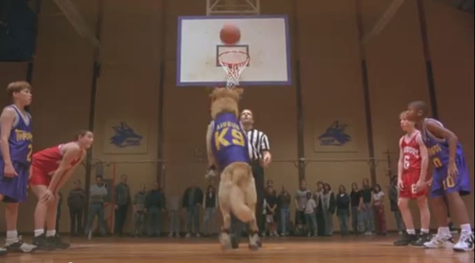 Air Bud Best Fictional Sports Jerseys - Best Fictional ... Air Bud Best Fictional Sports Jerseys - Best Fictional ...