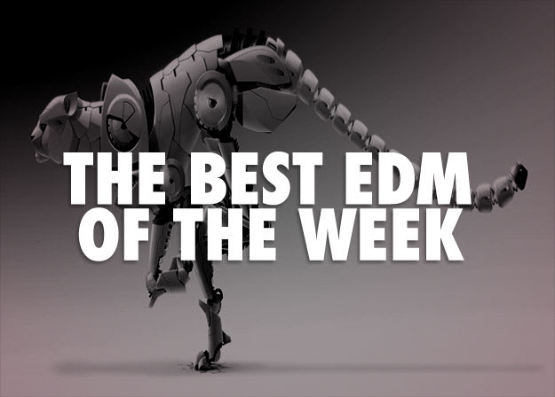 EDM-bigcat2