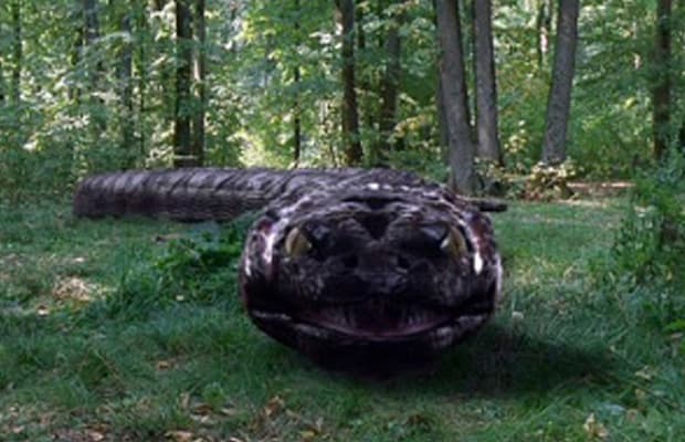 Anacondas : la poursuite de lorchide de sang