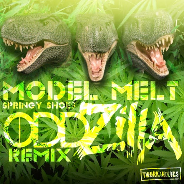 MODEL MELT SPRINGY SHOES ZILLA REMIX copy