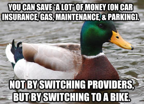 8. Car insurance - The 50 Funniest Good Advice Duck Memes ...
