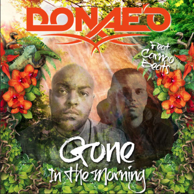 gone-in-the-morning-cover