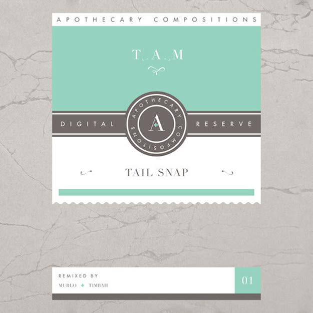 tam-tain-snap-cover