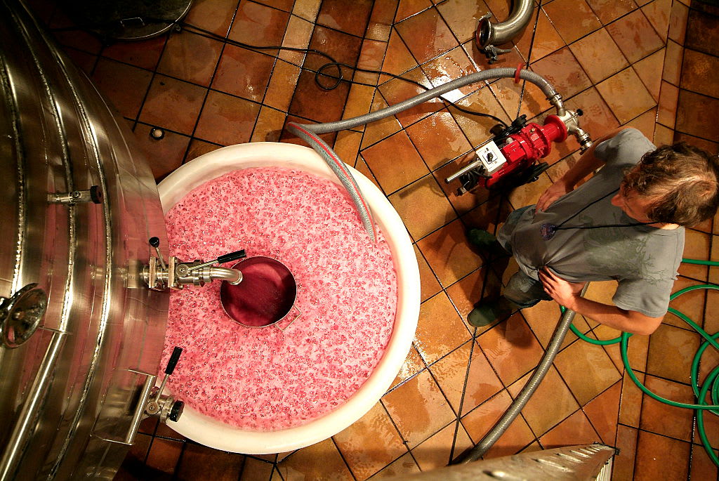 wine