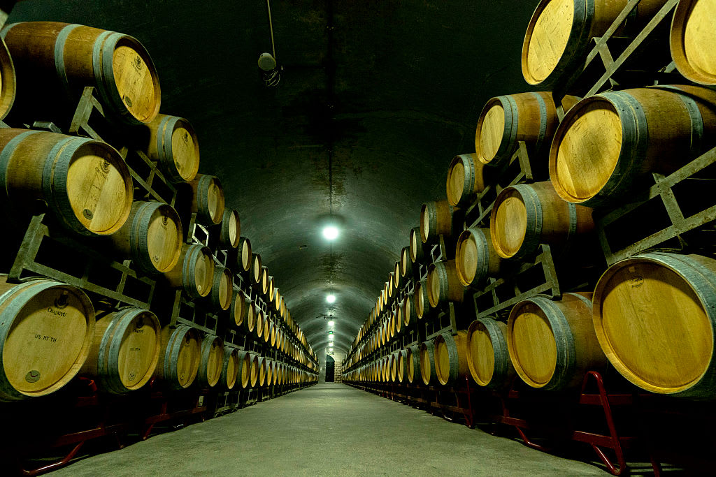wine cellar