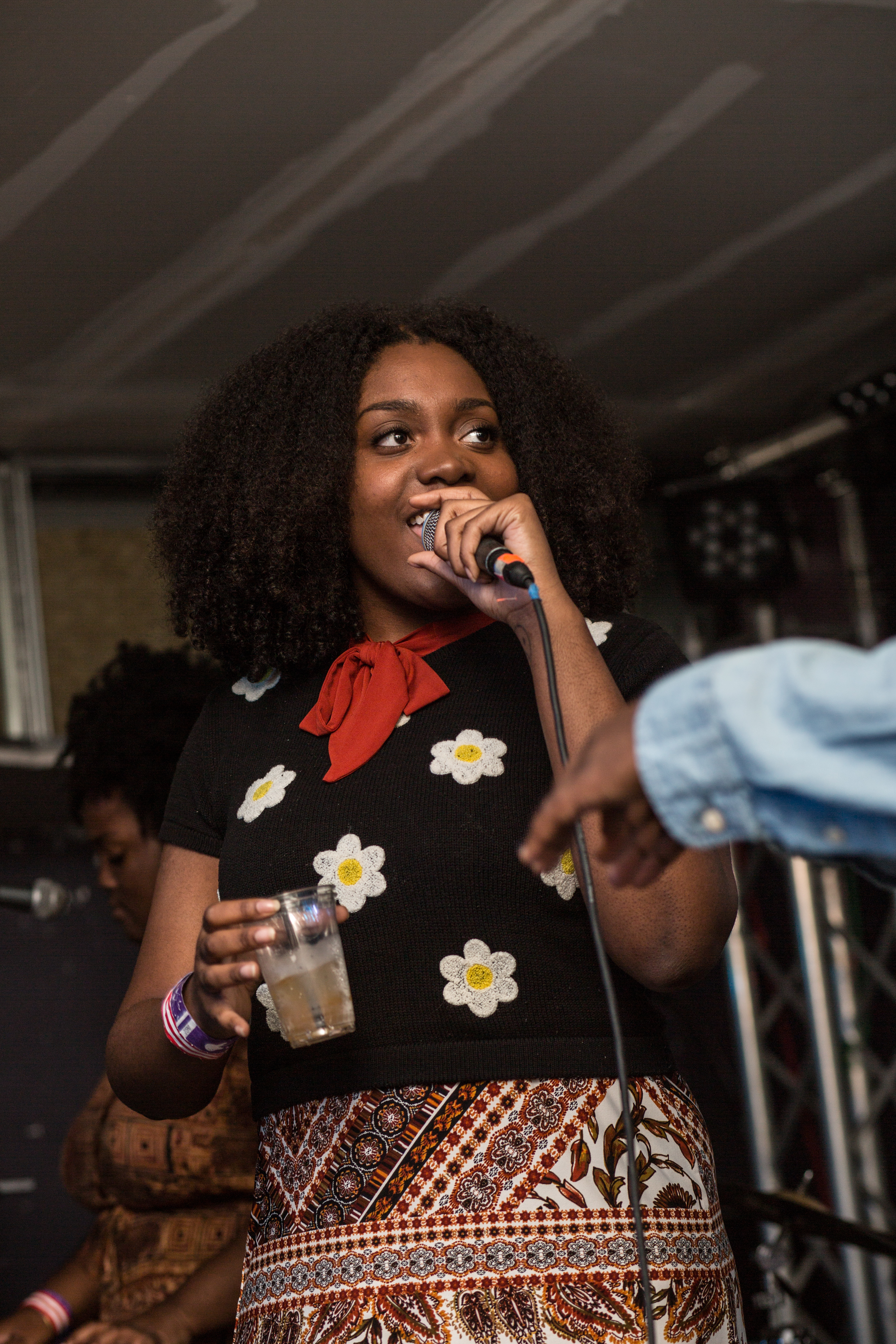 noname-pigeons-planes