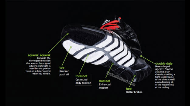 adidas feet you wear basketball shoes