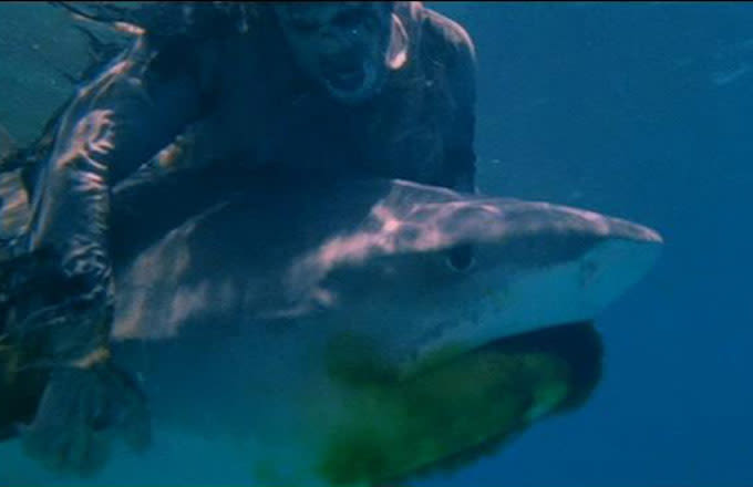 Shark Attack 3 Megalodon Greatest Movie Shark Attack Scenes Complex