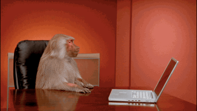 The Story Behind the Amazing Boardroom Baboon Memes