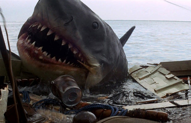 Jaws Tracing The Real Life Inspirations Behind Classic Horror Movies Complex
