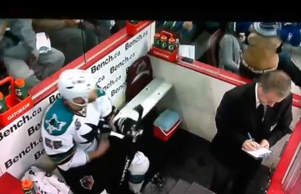 A Female Hockey Fan Flashes a Player in the Penalty Box | Complex