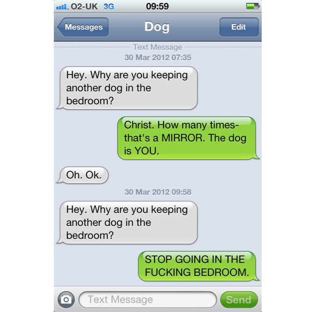 Gallery The 10 Funniest Texts From Dog Complex