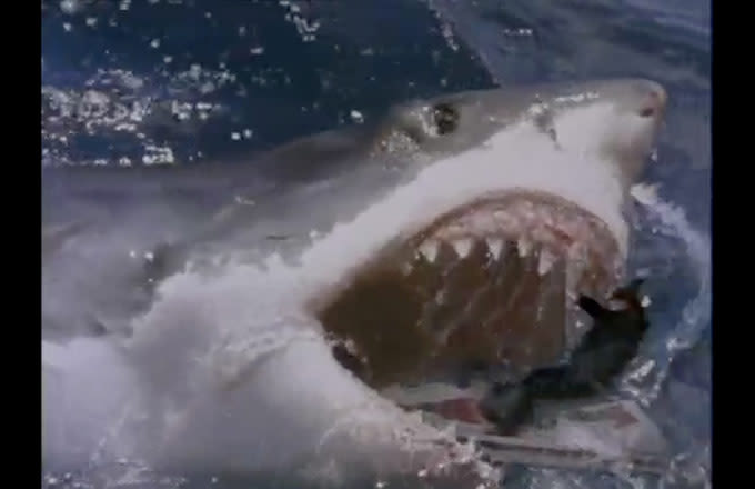 Shark Attack 3 Megalodon Greatest Movie Shark Attack Scenes Complex