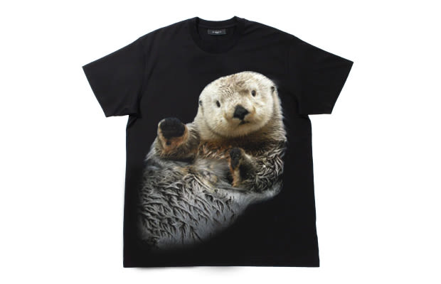 otter t