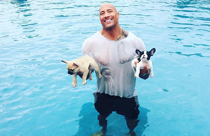 The Rock Spent His Labor Day Saving Two Adorable Puppies From Drowning