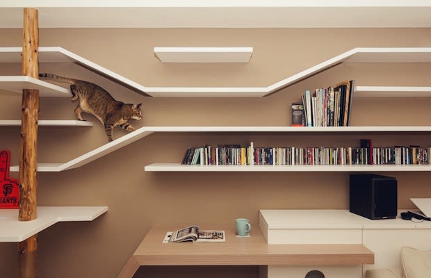 A Living Room with Cat Friendly Built-ins to Keep Your Furniture Safe
