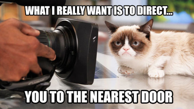 6 The Nearest Door   The 40 Funniest Grumpy Cat Movie Memes | Complex UK