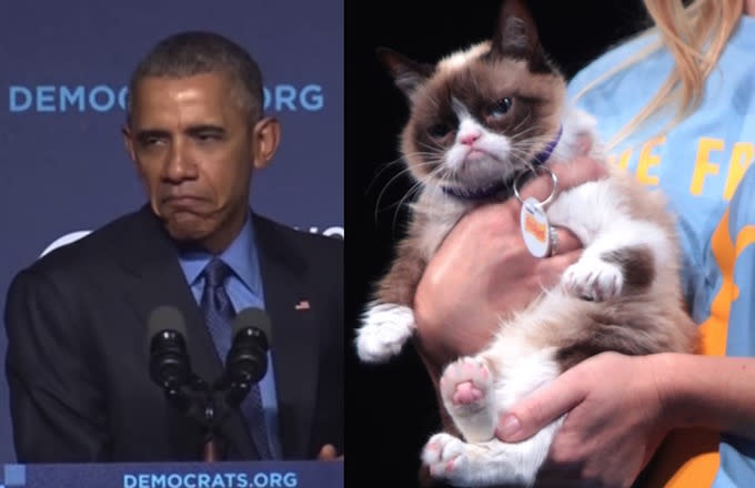 President Obama Compared Republicans To Grumpy Cat, Did His Best Grumpy ...