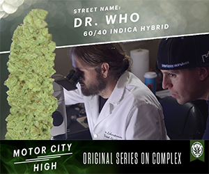 Episode 1: Dr. Who Marijuana Strain