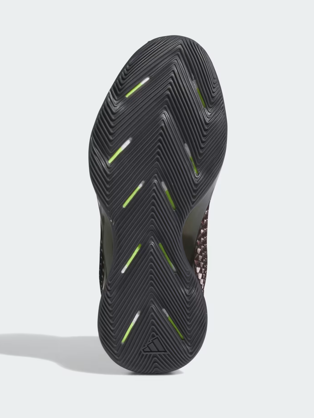 Adidas AE 1 'All-Star' Release Date February 2024 IF1858