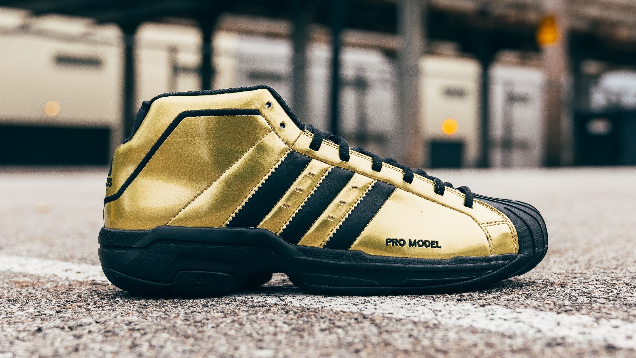 Adidas all star basketball shoes hotsell