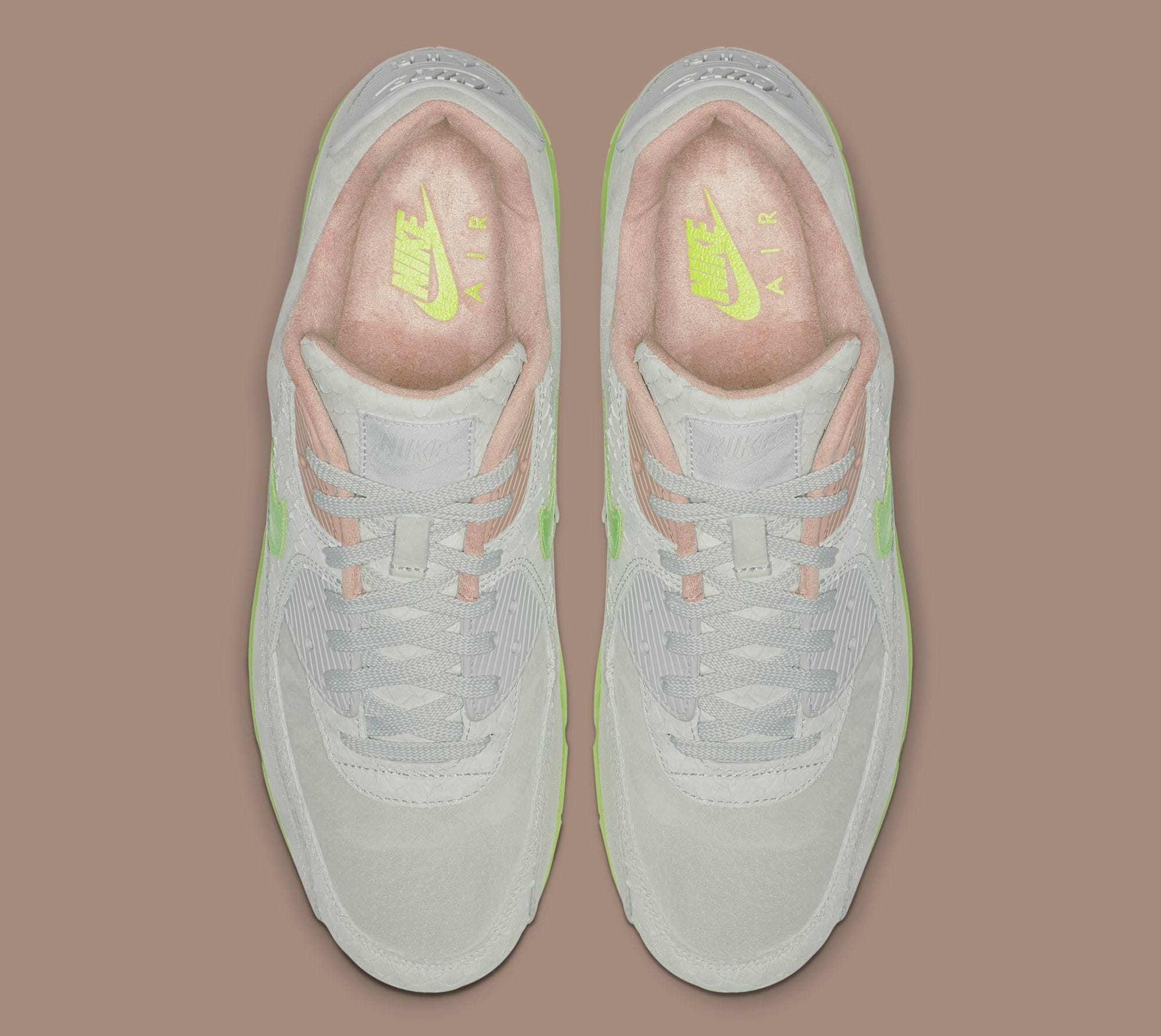 デッドストック！　NIKE AIR MAX 90 NEW SPECIES デッドストック！ NIKE AIR MAX 90 NEW SPECIES