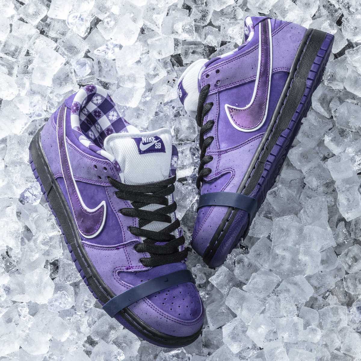 Concepts x nike sb purple lobster dunk online