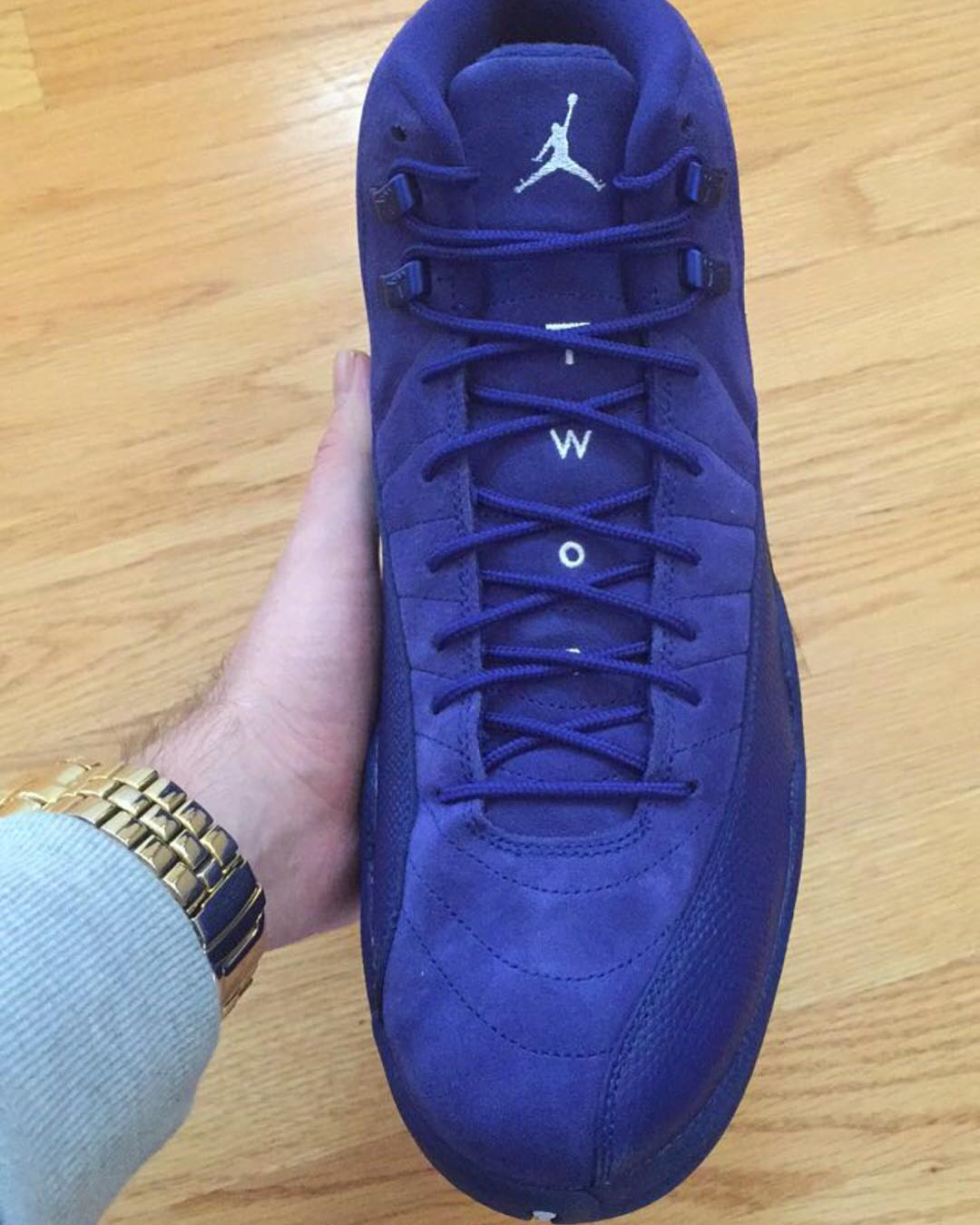 All Blue Air Jordan 12s Release in November