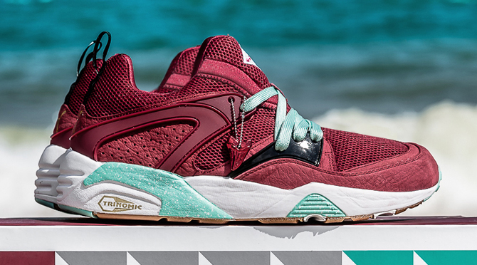 Puma blaze of glory shark deals