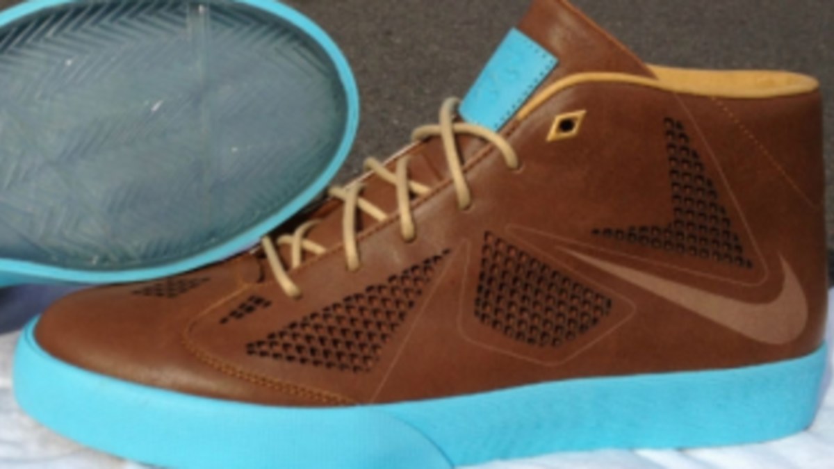 Lebron nsw shoes online