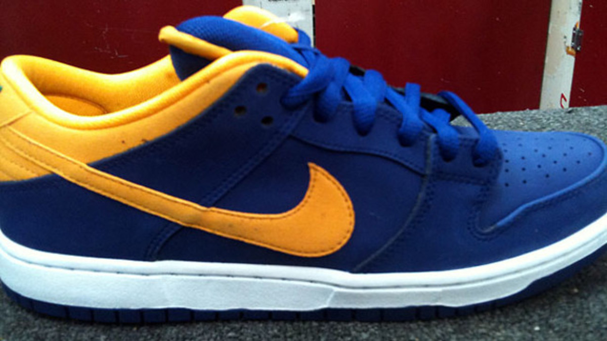 NIke SB Dunk Low Pro 
