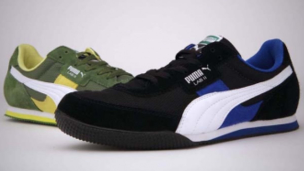 PUMA Lab II Fall 2011