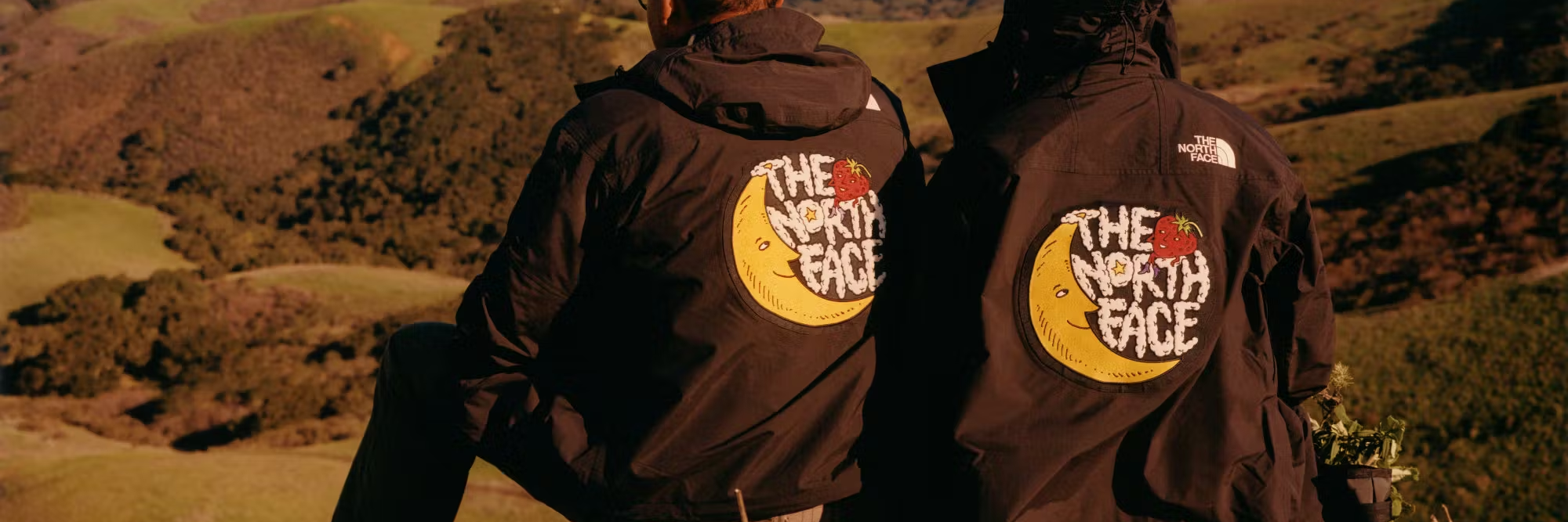 Shop The North Face Collection on Complex