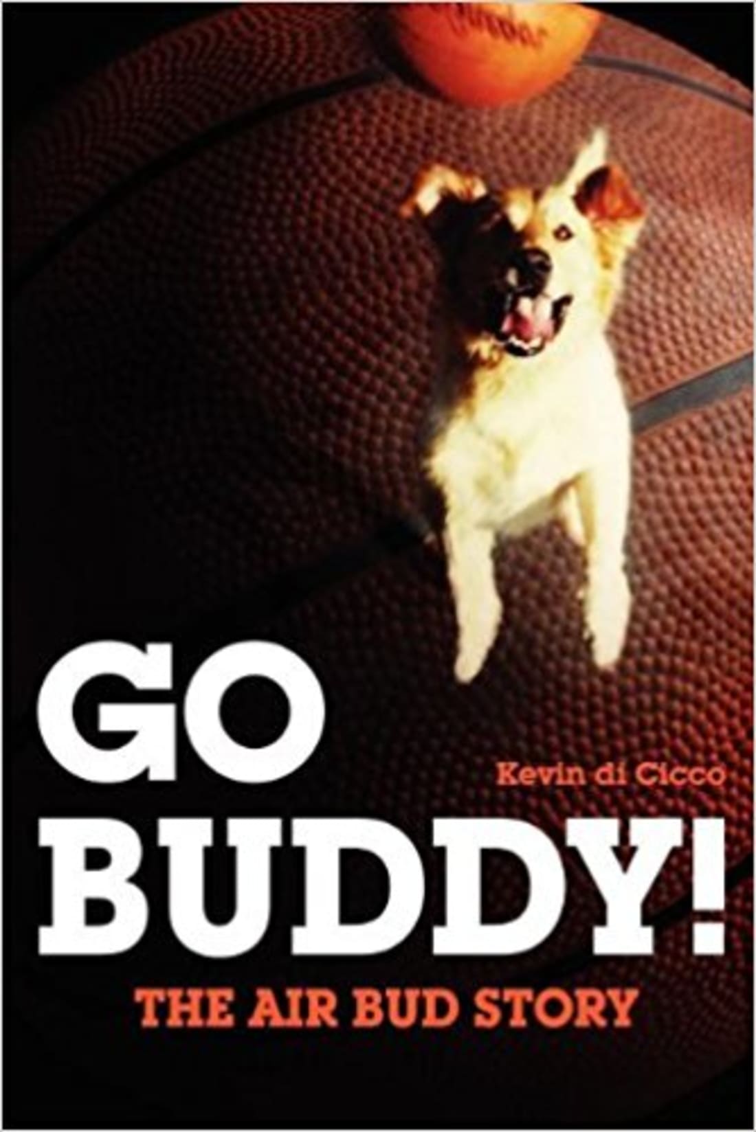 We Had A Seance To Resurrect The Spirit Of Air Bud 20 Years Later Complex