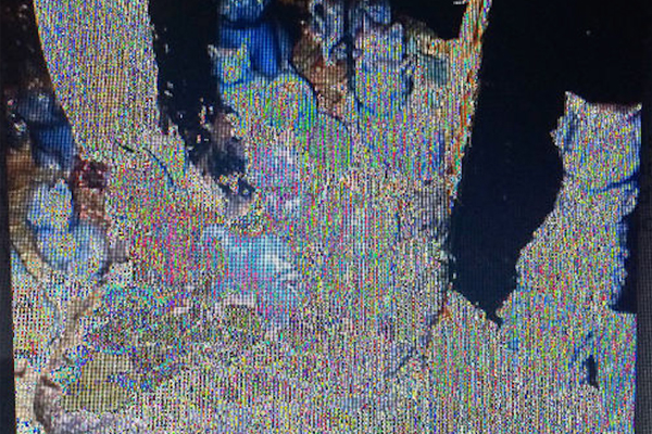 Image via Crystal Castles on SoundCloud
